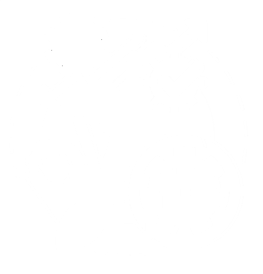 Financial Stat​ement Anal​ysis